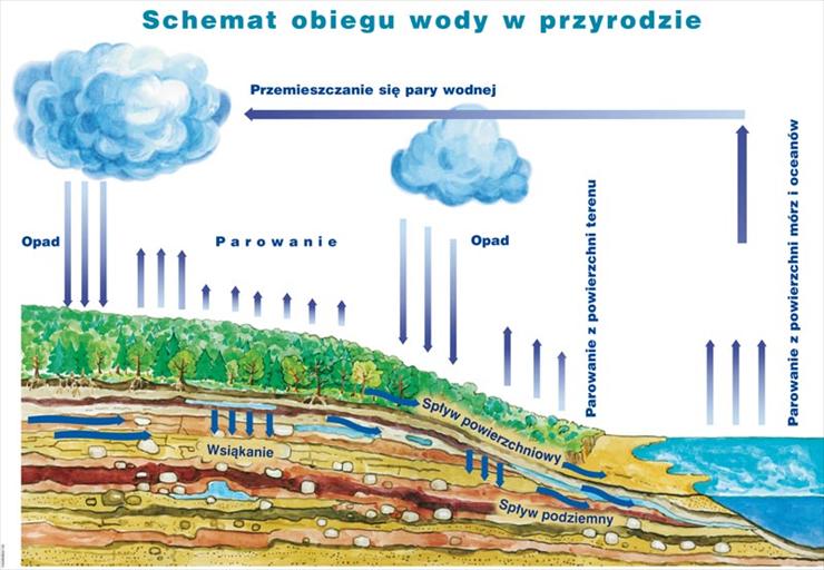 Karty pracy - obieg wody w przyrodzie21.jpg