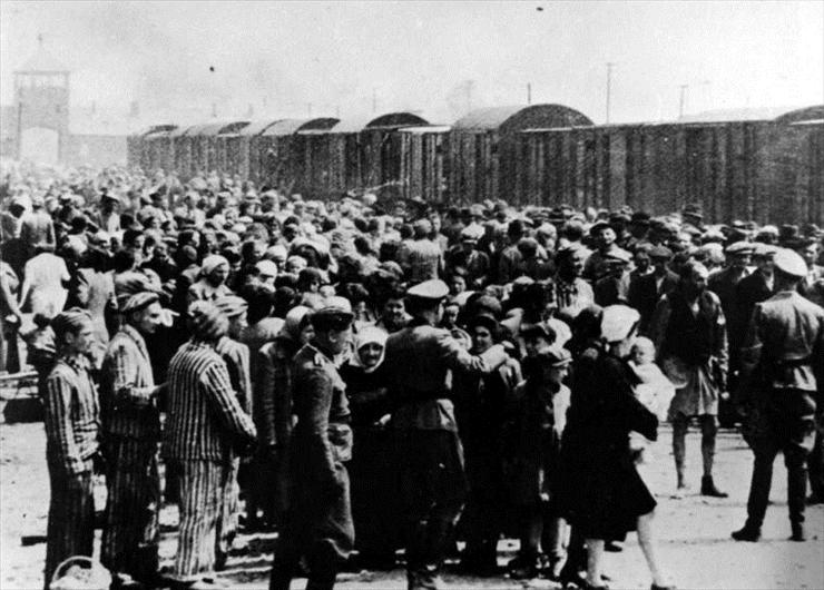 Auschwitz - Birke... - Auschwitz II-Birkenau Concentration Camp. Select...on of an arriving transport of Jews from Hungary.jpg
