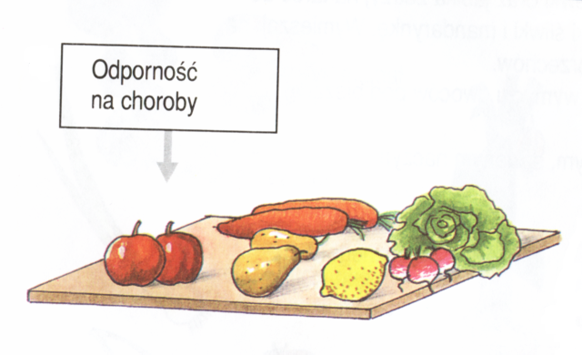 PIRAMIDA ŻYWIENIA - odporność.bmp
