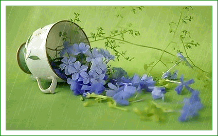gify-niezapominajki1 - kwiatki w filizanceeeeee.gif