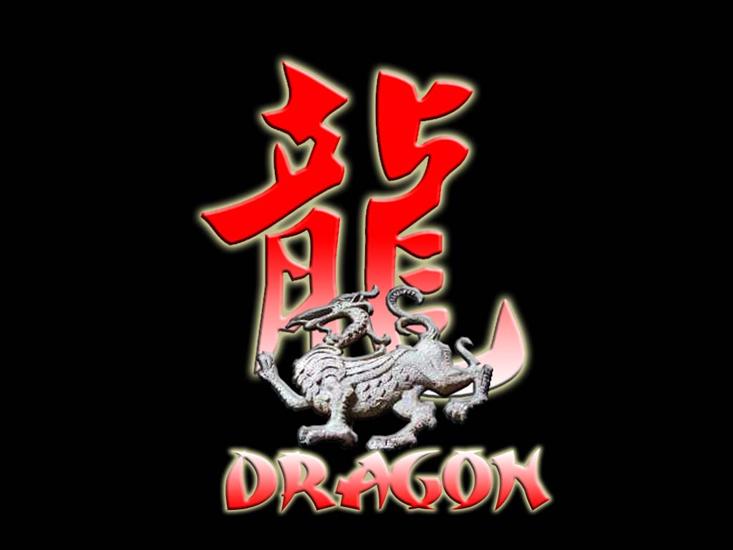 Dragon - WXP  19.jpg