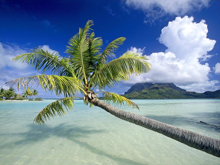 tapety hawaje - Tropical Escape, Bora Bora, French Polynesia.jpg