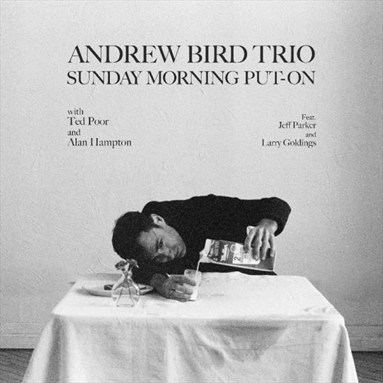 Andrew Bird Trio - Sunday Morning Put-On - 2024 - Andrew Bird Trio - Sunday Morning Put-On.jpg